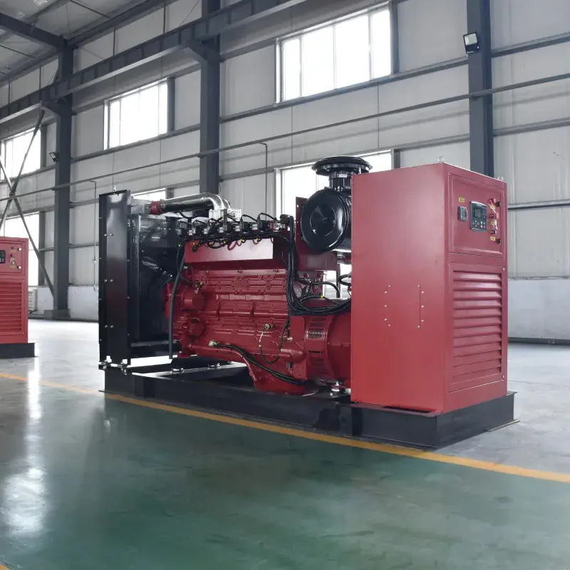 250kW Gas Generator Set Biogas Natural Generator Diesel Power Station Genset CNG Generator - Image 4